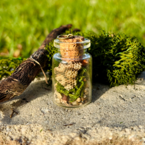 Tiny Terrarium - Ackie Monitor