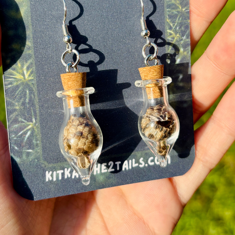 Reptile Shed Earrings – Ackie Monitor