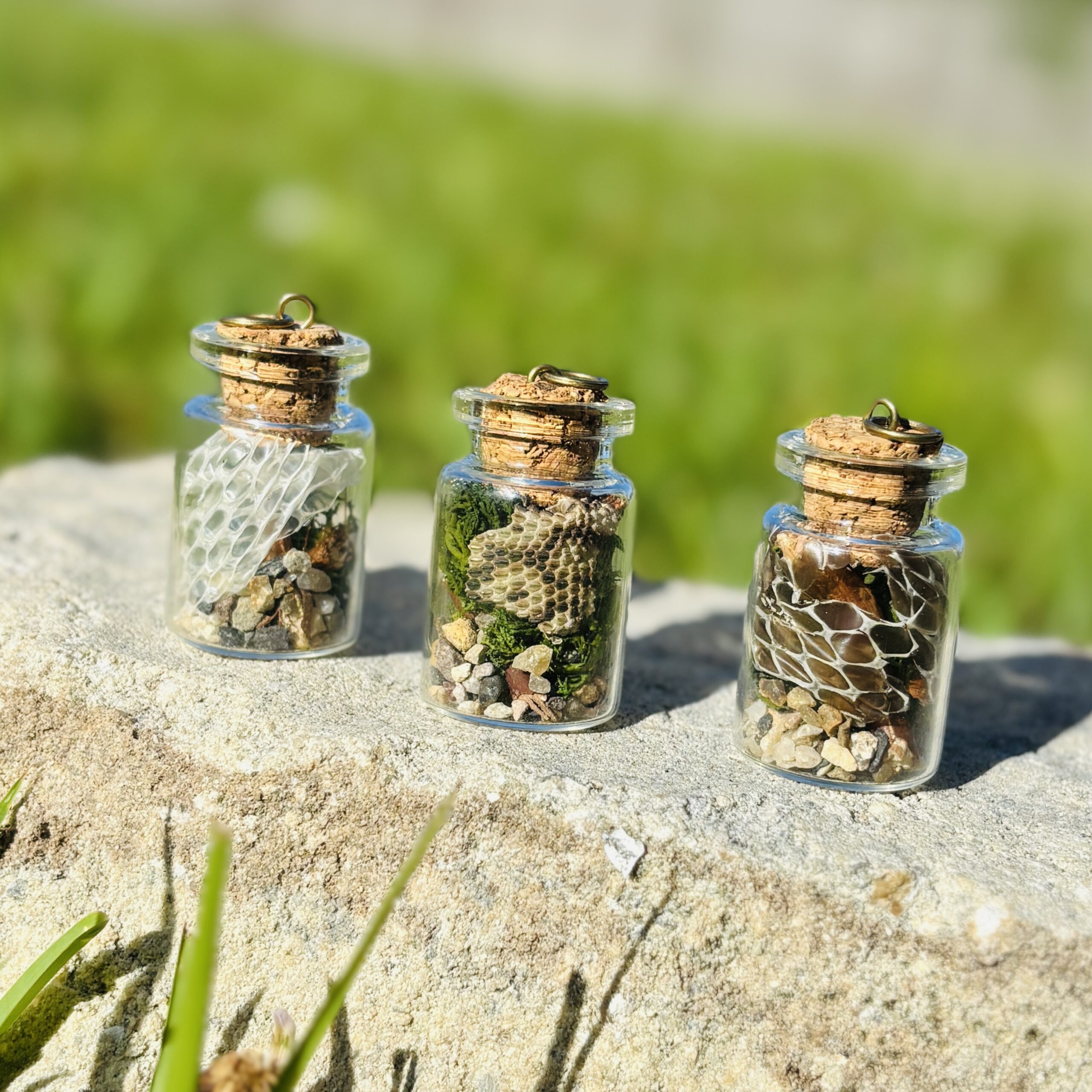 Tiny Terrarium